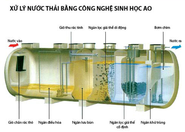 cac-phuong-phap-xu-ly-nuoc-thai-bang-phuong-phap-sinh-hoc6