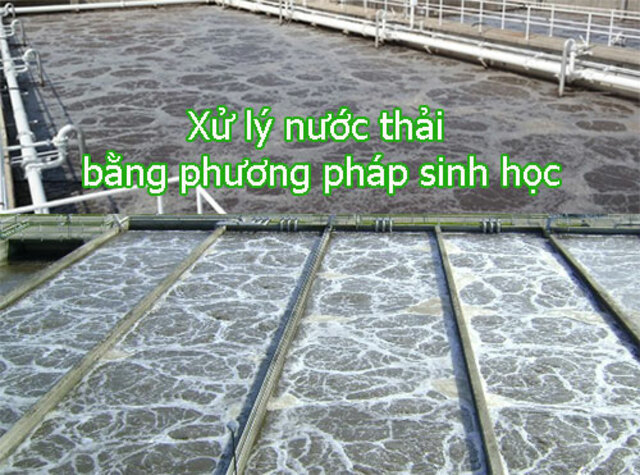 cac-phuong-phap-xu-ly-nuoc-thai-bang-phuong-phap-sinh-hoc7